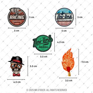 BDLS25 Küçük Boy 10lu Sticker Seti