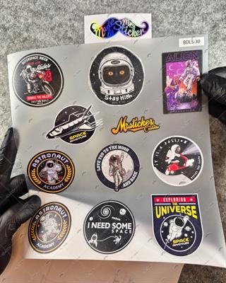 BDLS30 Küçük Boy 10lu Sticker Seti