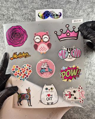 BDLS33 Küçük Boy 10lu Sticker Seti