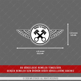 CHR31 Krom Seri Born to Ride Yazılı Etiket