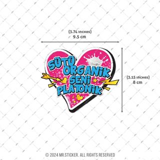 ESP16 Sutu Organik Seni Platonik