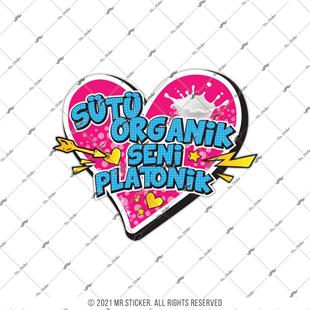 ESP16 Sutu Organik Seni Platonik