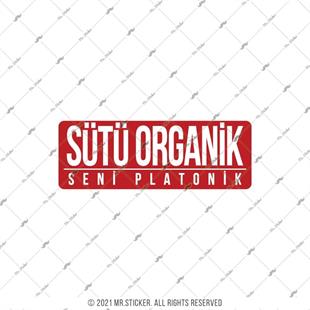 ESP56 V3 Sutu Organik Seni Platonik