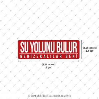 ESP58 V3 Su Yolunu Bulur