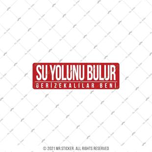 ESP58 V3 Su Yolunu Bulur