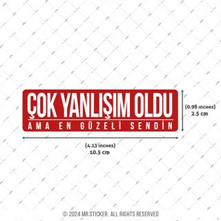 ESP59 V3 Cok Yanlisim Oldu