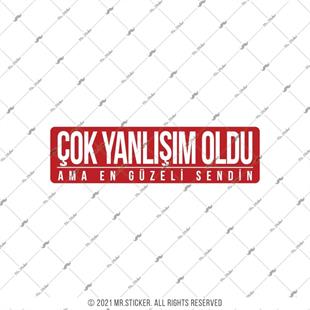 ESP59 V3 Cok Yanlisim Oldu