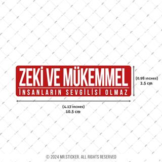 ESP63 V3 zeki ve mukemmel