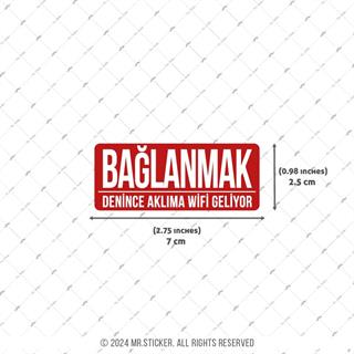 ESP64 V3 Baglanmak Denince