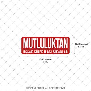 ESP65 V3 Mutluluktan Ucsak