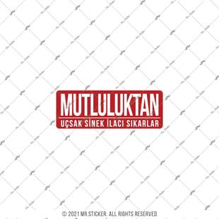 ESP65 V3 Mutluluktan Ucsak