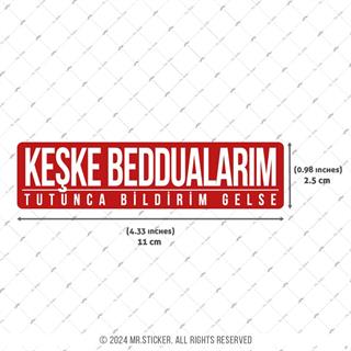 ESP66 V3 Beddua Bildirimi