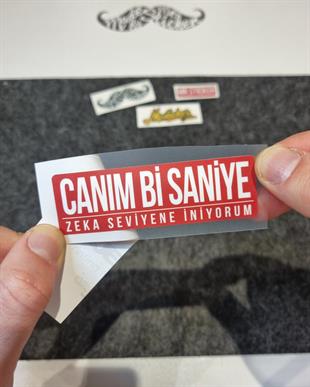 ESP67 V3 Canim Bi Saniye
