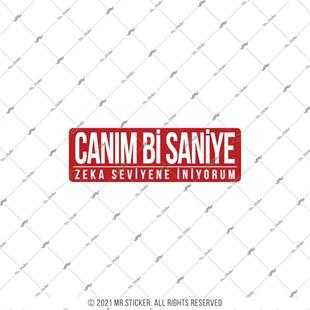 ESP67 V3 Canim Bi Saniye