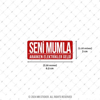 ESP76 Mumla Ararken Elektrikler Geldi