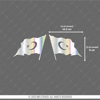 HLG23V2 Hologram Ay Yıldız Etiketi İkili Set