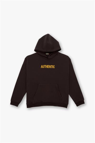 Authentic Oversize Sweatshirt Kadın Kahverengi
