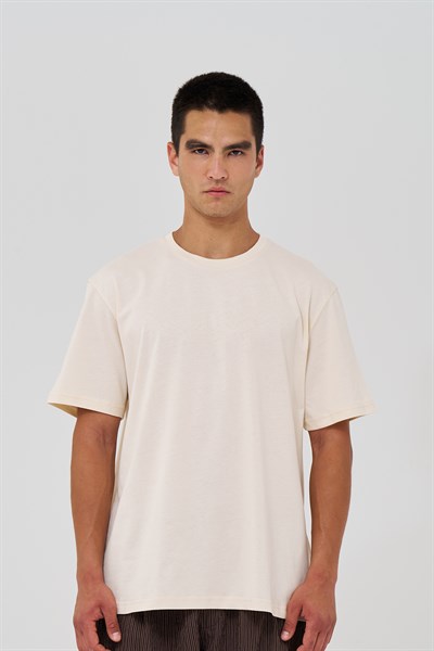 Basic Regular Fit Tişört Erkek /02 Stone