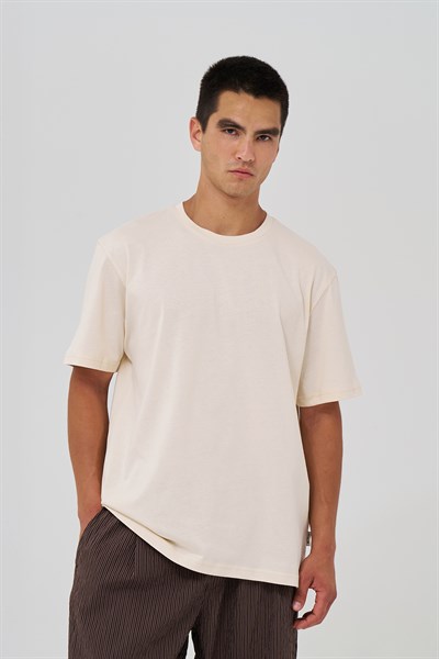 Basic Regular Fit Tişört Erkek /02 Stone
