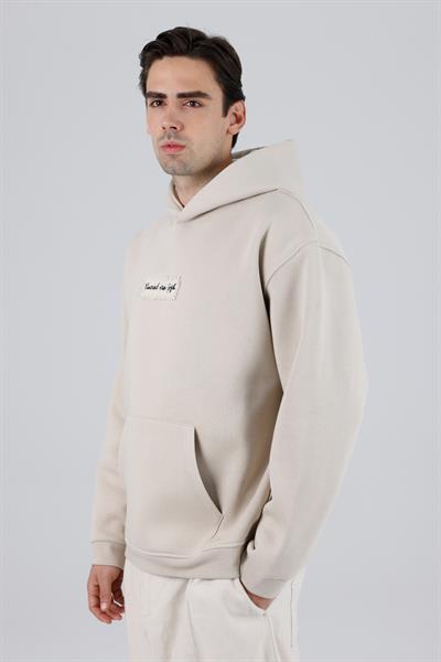 Blooming Canvas Oversize Sweatshirt Erkek Stone