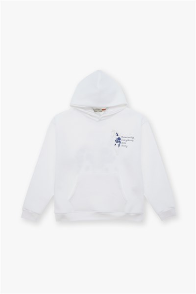 Design Story Fading Echoes Oversize Sweatshirt Erkek Ekru