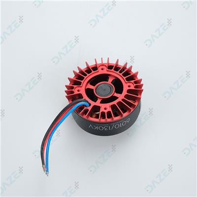 6010 Motor