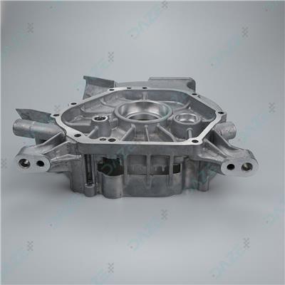 D12000i - Crankcase Cover (RATO)