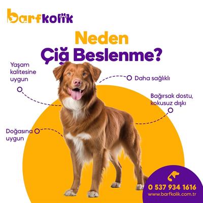 barffood-20-kg-500-gr-kopek-mamasi-cig-c4-942.jpg