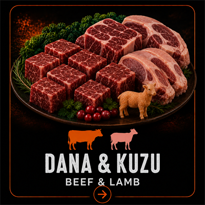 Raw Quality Dana & Kuzu Barf Doğal Çiğ Köpek Maması