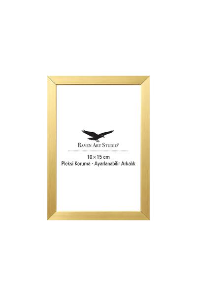 Ermitaj 10cm x 15cm Resim Altın Fotoğraf Belge Poster Evrak Çerçevesi Korumalı Kırılmaz Pleksi Cam