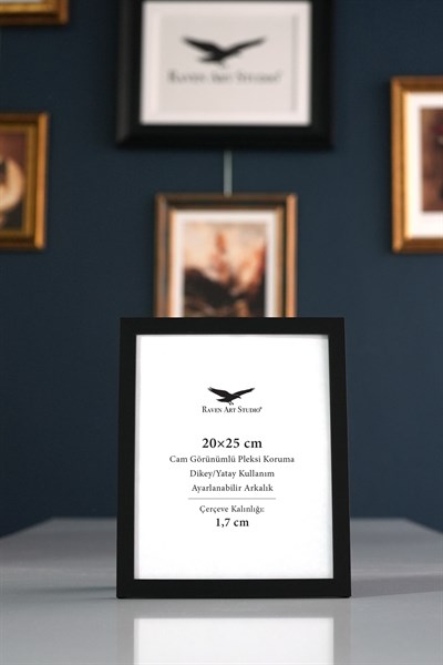Ermitaj 20x25cm Siyah Resim Fotoğraf Belge Poster Evrak Çerçevesi Korumalı Kırılmaz Pleksi Cam