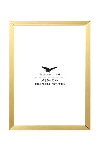 Ermitaj A3 Ebat 30cm x 42cm Altın Resim Fotoğraf Belge Poster Evrak Çerçevesi Korumalı Kırılmaz Pleksi Cam