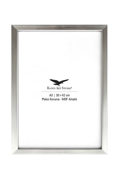 Ermitaj A3 Ebat 30cm x 42cm Gümüş Resim Fotoğraf Belge Poster Evrak Çerçevesi Korumalı Kırılmaz Pleksi Cam