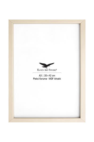 Ermitaj A3 Ebat 30cm x 42cm Sedef Resim Fotoğraf Belge Poster Evrak Çerçevesi Korumalı Kırılmaz Pleksi Cam