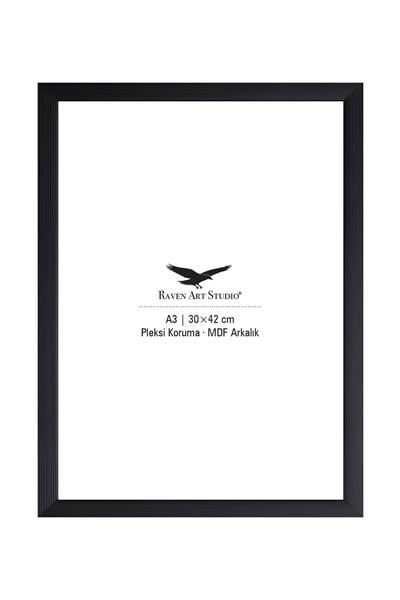 Ermitaj A3 Ebat 30cm x 42cm Siyah Resim Fotoğraf Belge Poster Evrak Çerçevesi Korumalı Kırılmaz Pleksi Cam