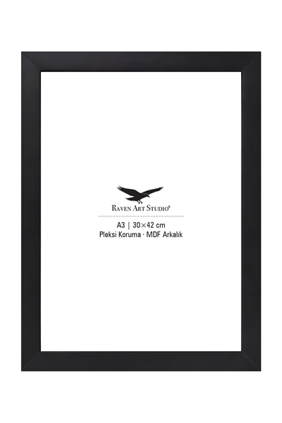 Potala A3-30x42cm Siyah Resim Fotoğraf Belge Poster Evrak Çerçevesi Korumalı Kırılmaz Pleksi Cam
