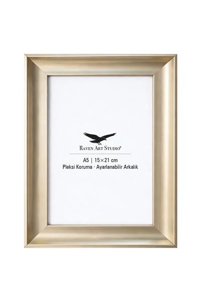 Pyramid 15x21cm Platin Resim Fotoğraf Belge Poster Evrak Çerçevesi Korumalı Kırılmaz Pleksi Cam