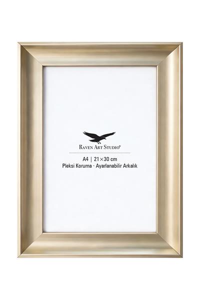 Pyramid A4-21x30cm Platin Resim Fotoğraf Belge Poster Evrak Çerçevesi Korumalı Kırılmaz Pleksi Cam