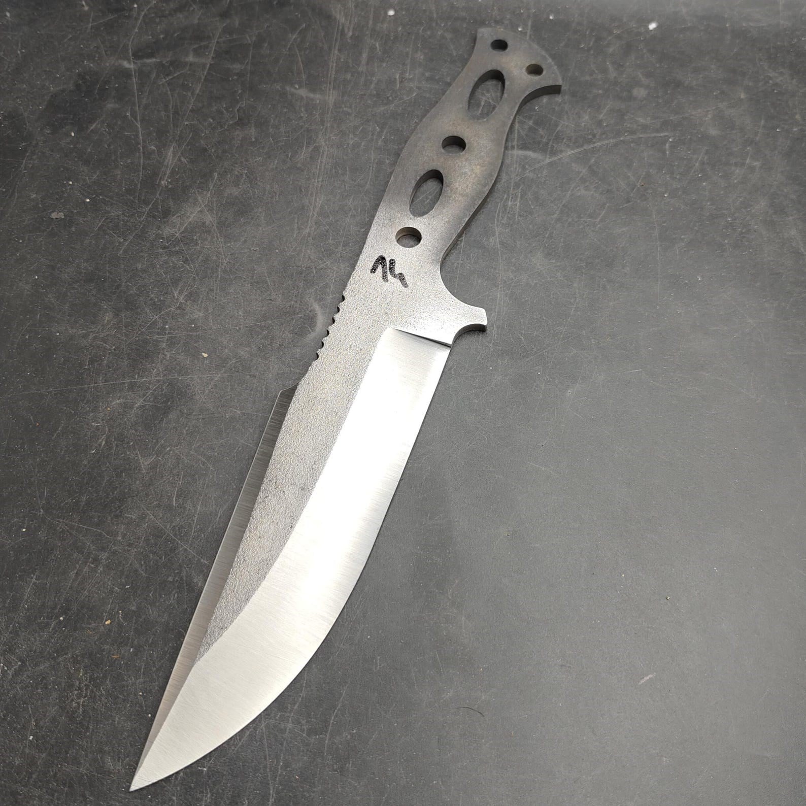 Sleipner Hunting Knife Blank - S14