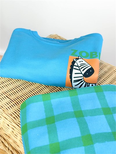 CARTOON ZEBRA SET