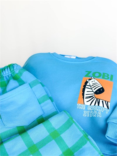 CARTOON ZEBRA SET