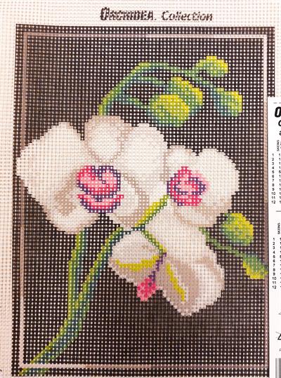 orchidea-18243-goblen-8-22c5.jpg