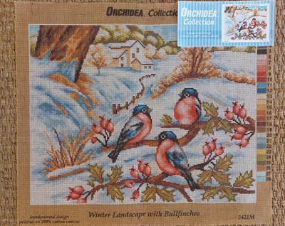 orchidea-2421-goblen-f-4984.jpg
