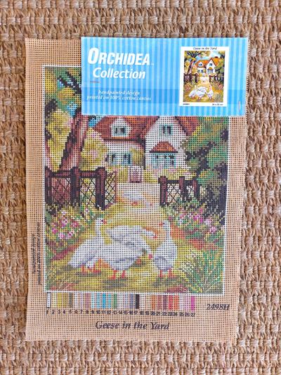 orchidea-2498-goblen-c4-42d.jpg