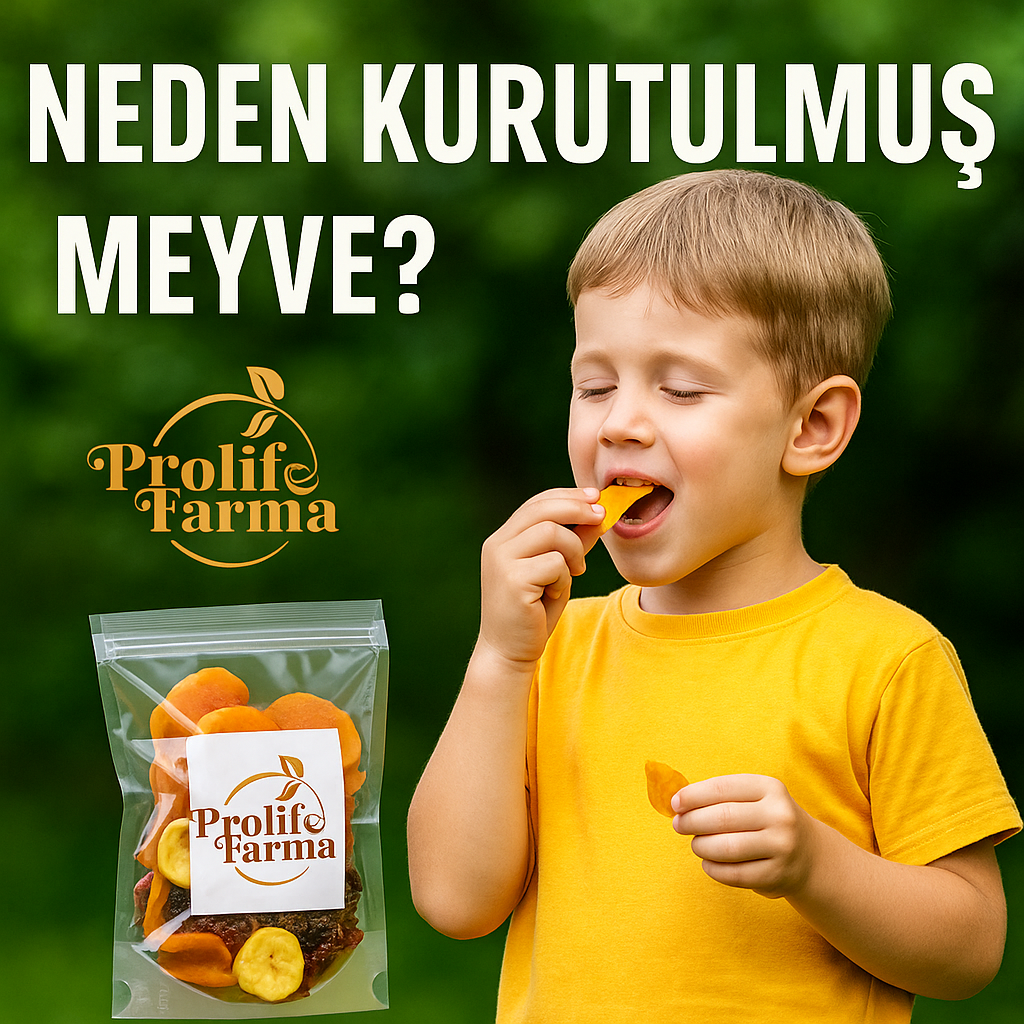 Neden Kurutulmuş Meyve, Sebze?