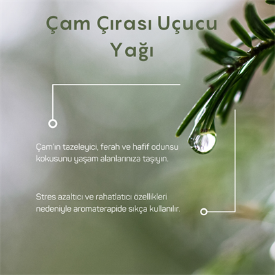 Çam Çırası Uçucu Yağı 10ml