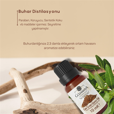 Çam Çırası Uçucu Yağı 10ml