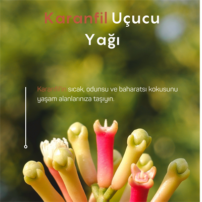 Karanfil Uçucu Yağı 10ml
