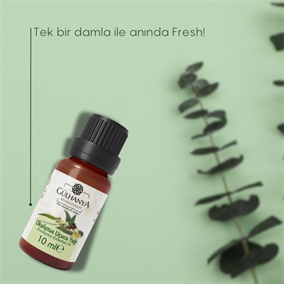 Okaliptus Uçucu Yağı 10ml