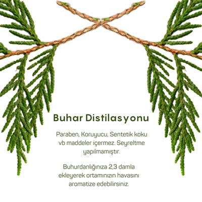 Sedir Uçucu Yağı 10ml